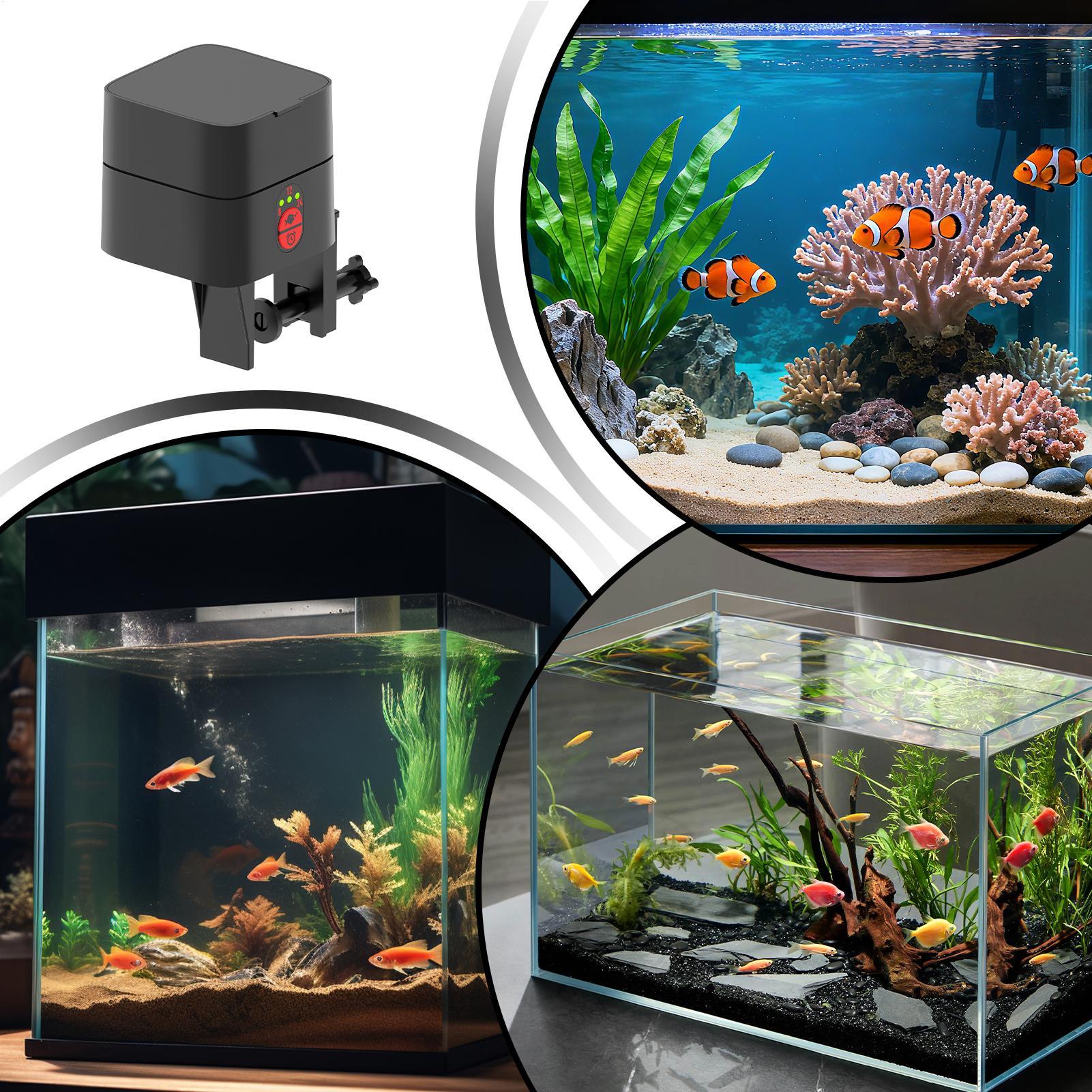 Alimentador automático de peix - Fishing Line Dispenser avaliação e preço